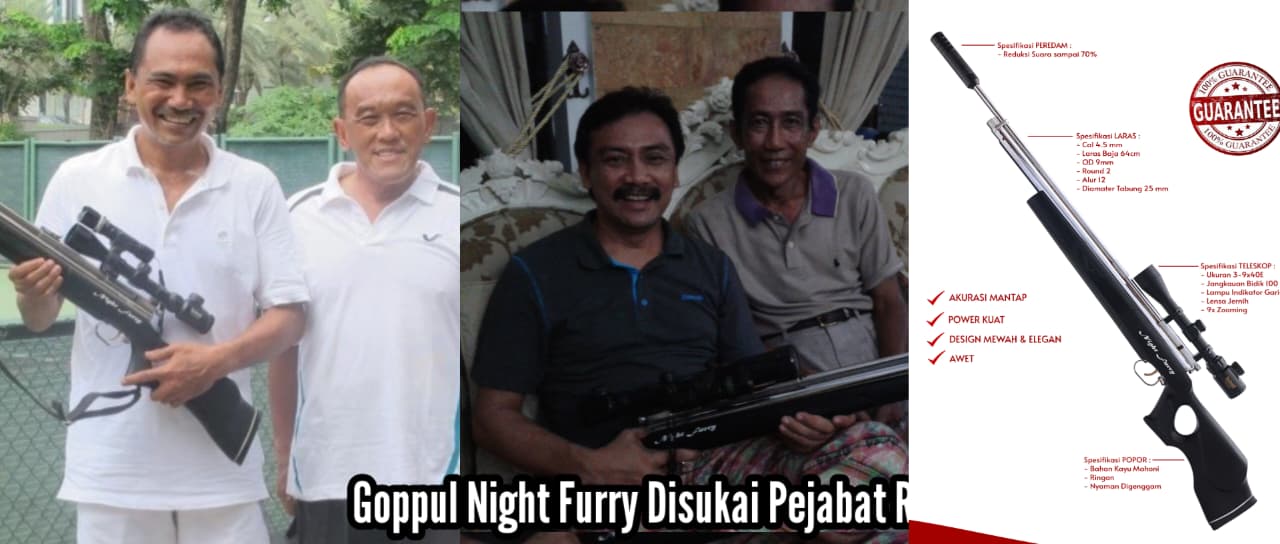 senapan angin berburu